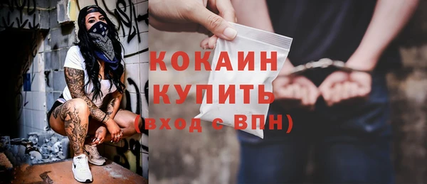 молекула духа Инсар