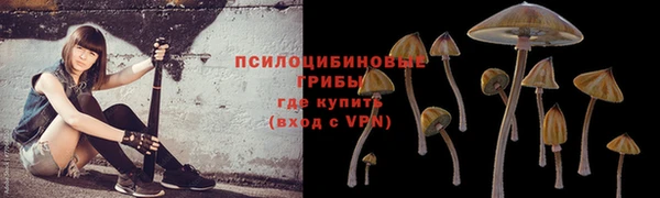 прущая мука Инта