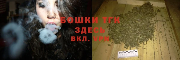 молекула духа Инсар