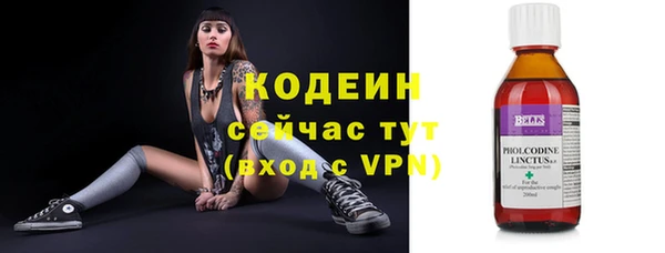 прущая мука Инта