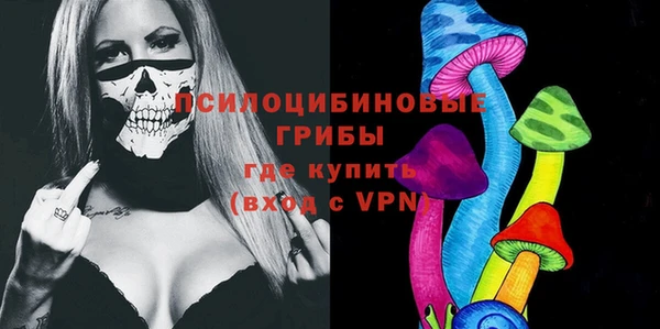 молекула духа Инсар
