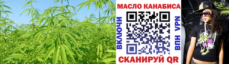 Купить где  Приволжск  ТГК концентрат 