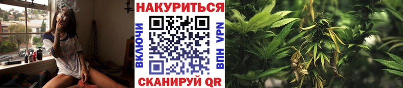 Бошки Шишки марихуана  Купить закладки  Приволжск 